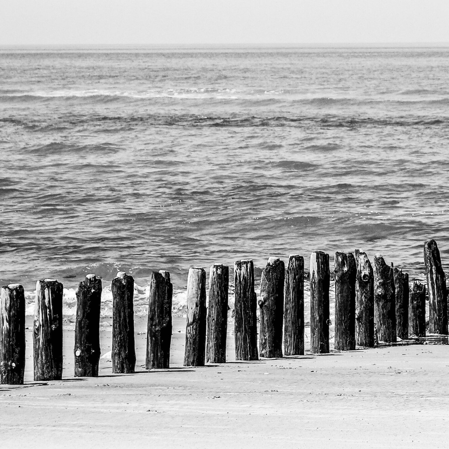 BOO1508_161-Version2